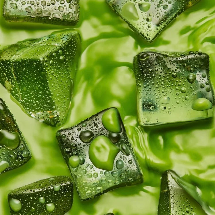 Organic Ceremonial Matcha (30g)