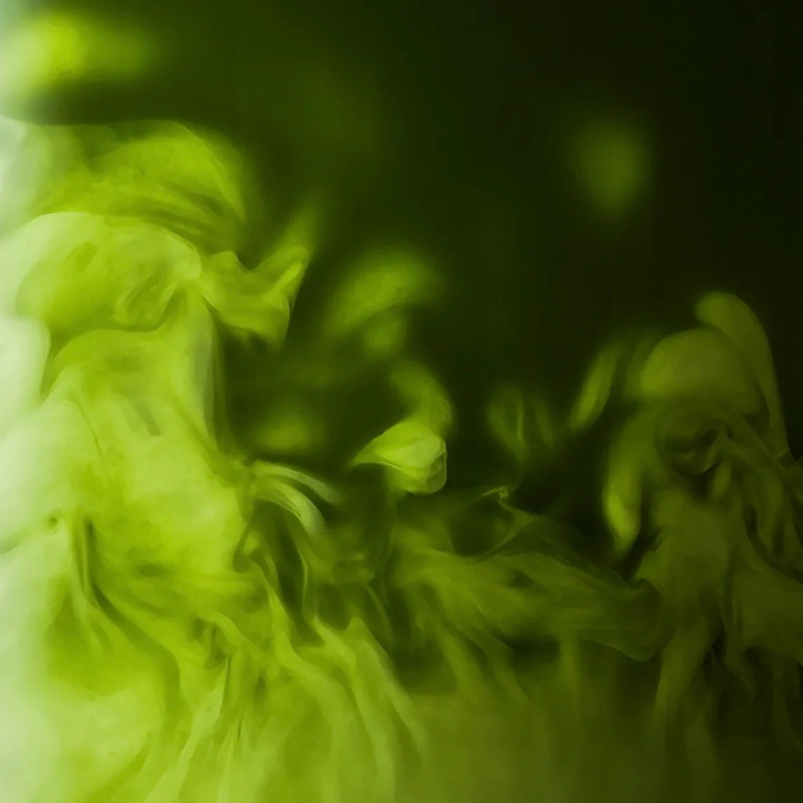 Organic Ceremonial Matcha (30g)